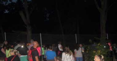 Večerní ZOO