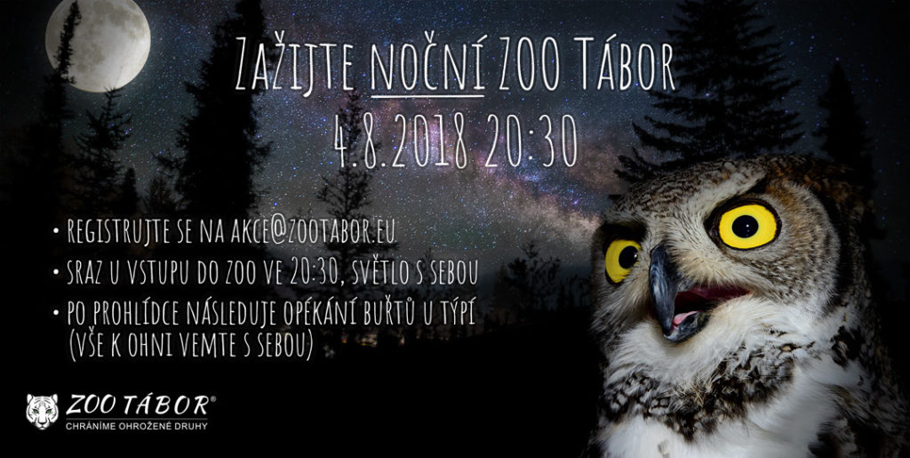 Noční ZOO Tábor