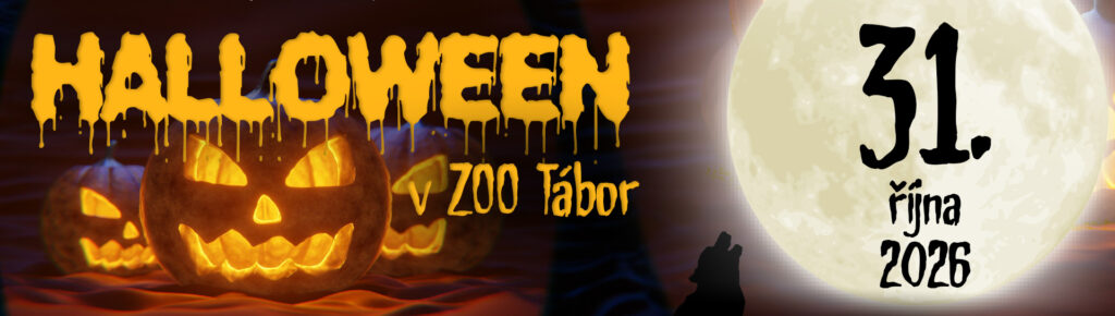 Halloween 2026
