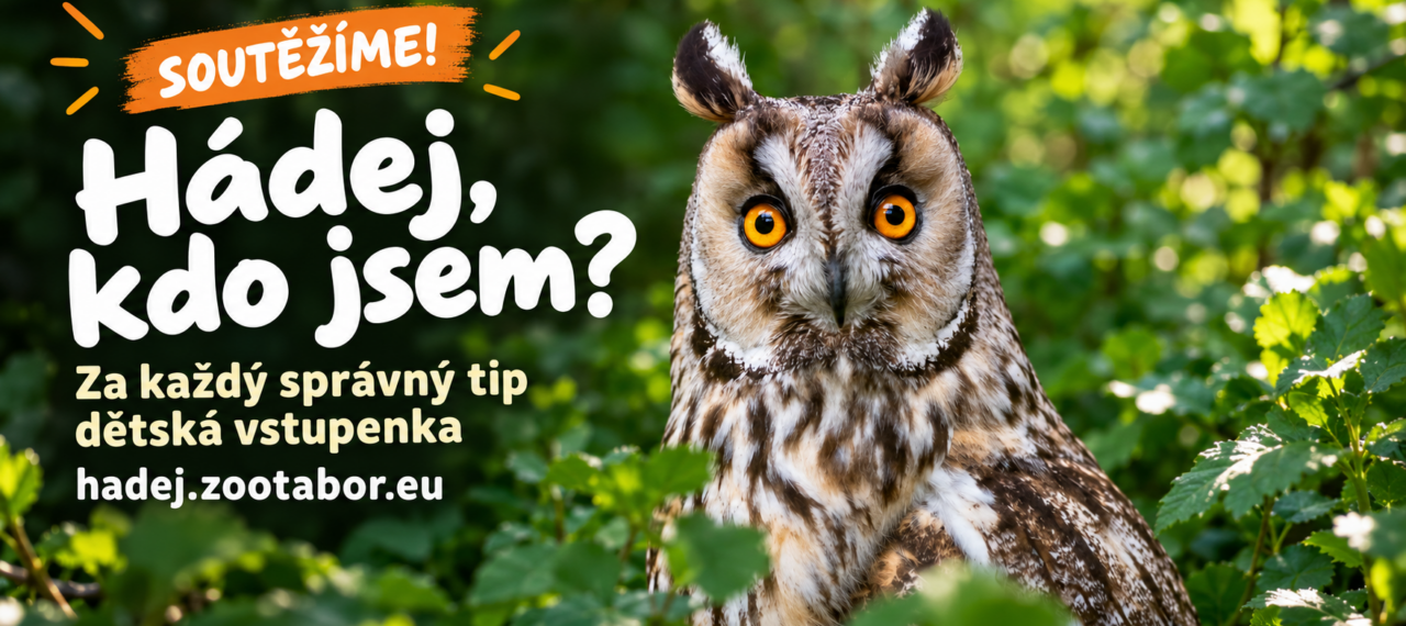 Soutěžte s námi!
